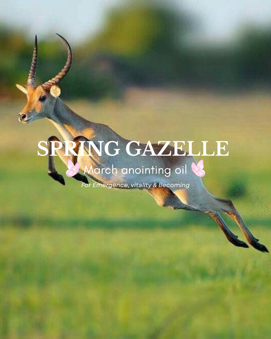 Spring Gazelle ๐ฆ- March Anointing oil