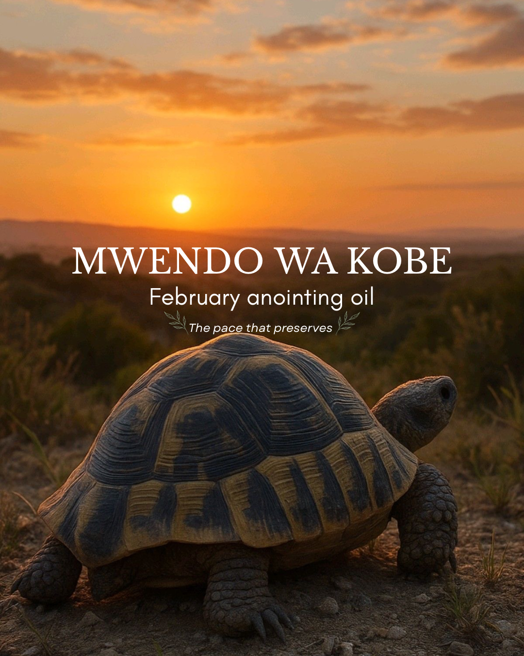 Mwendo wa Kobe 🐢- February Anointing oil